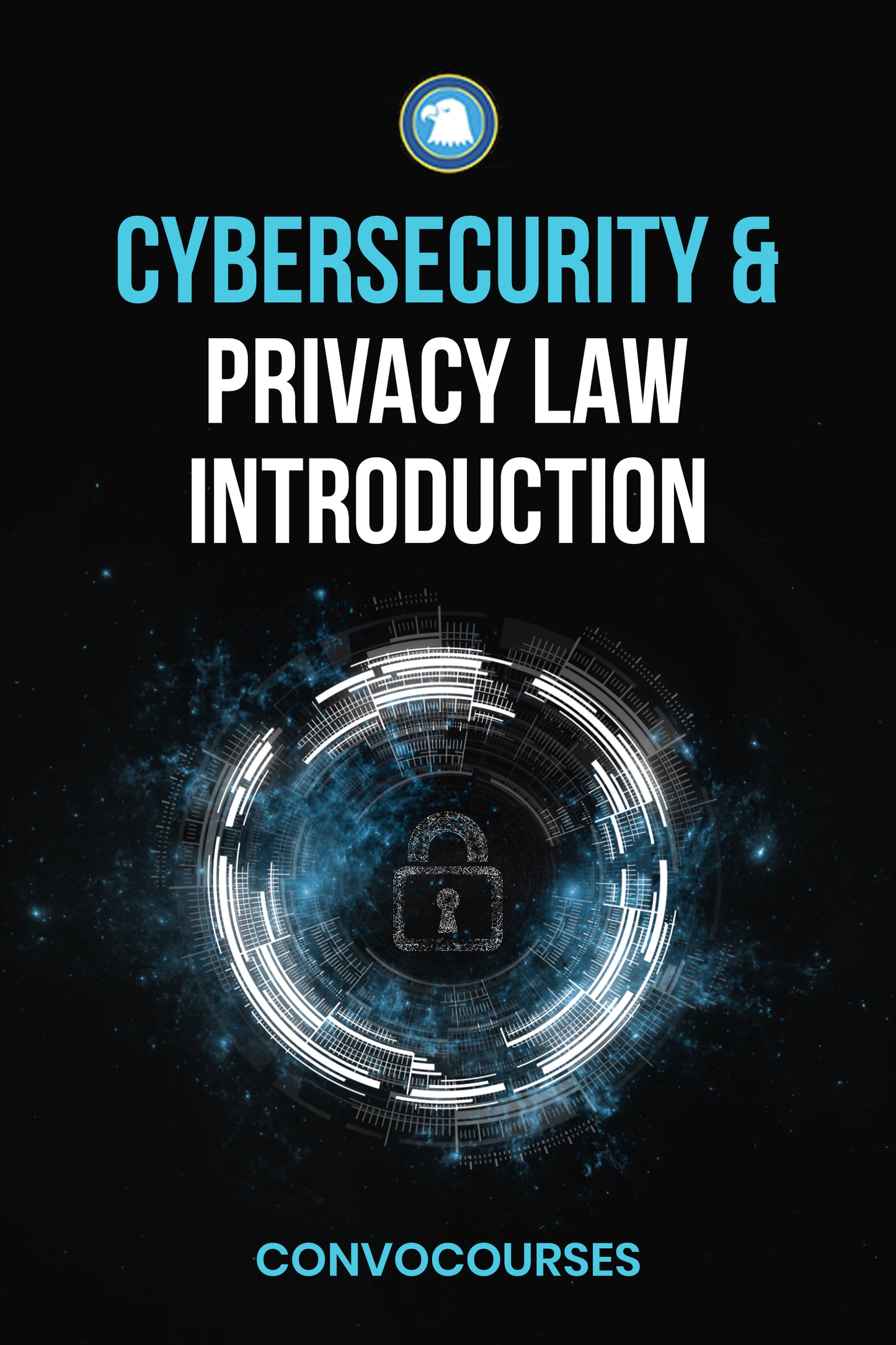 Cybersecurity and Privacy Law Introduction (EBOOK)