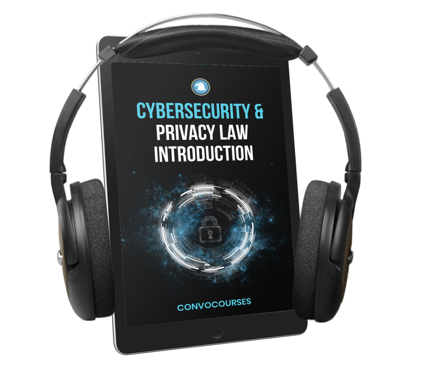 Cybersecurity and Privacy Law Introduction (AUDIOBOOK)