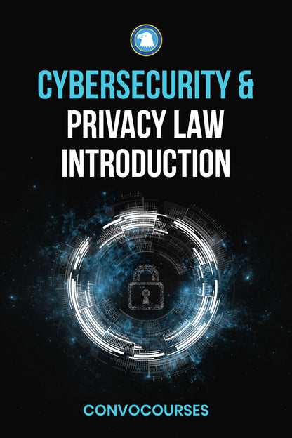 Cybersecurity and Privacy Law Introduction (PAPERBACK)