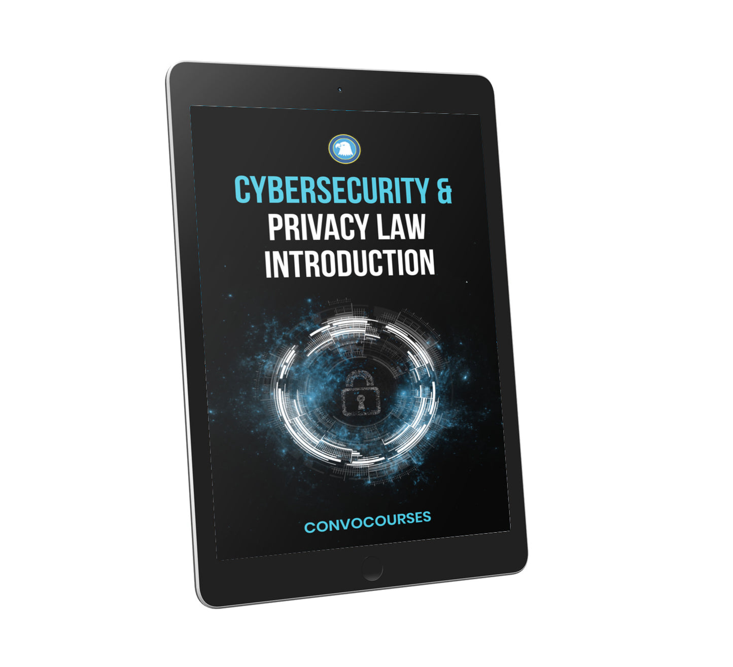 Cybersecurity and Privacy Law Introduction (EBOOK)